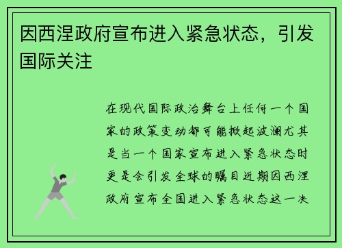 因西涅政府宣布进入紧急状态，引发国际关注