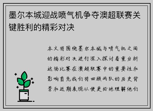 墨尔本城迎战喷气机争夺澳超联赛关键胜利的精彩对决