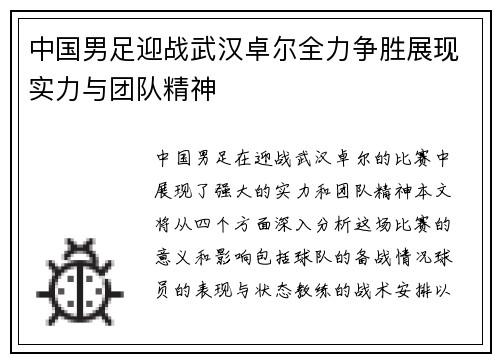 中国男足迎战武汉卓尔全力争胜展现实力与团队精神