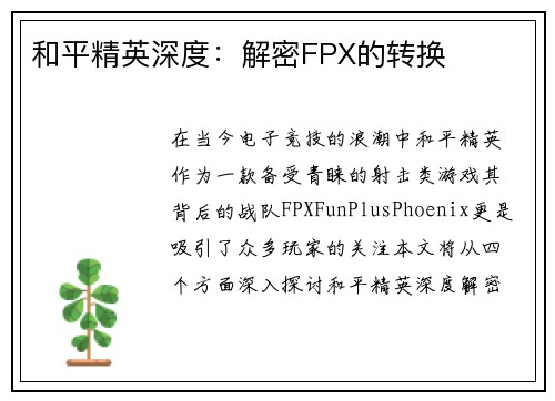 和平精英深度：解密FPX的转换