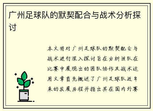 广州足球队的默契配合与战术分析探讨