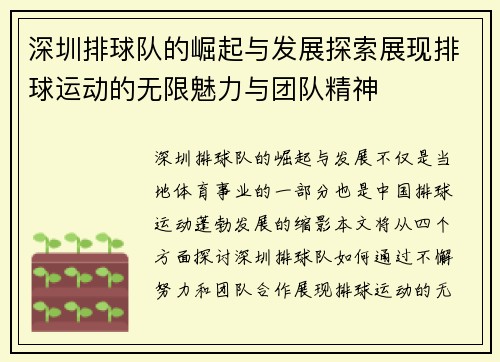 深圳排球队的崛起与发展探索展现排球运动的无限魅力与团队精神