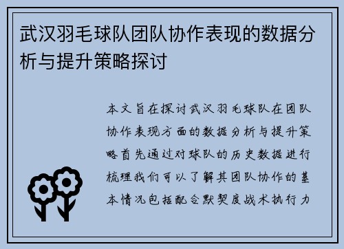 武汉羽毛球队团队协作表现的数据分析与提升策略探讨