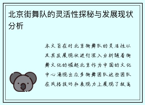 北京街舞队的灵活性探秘与发展现状分析